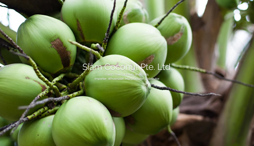 Siam Coconut Pte. Ltd.